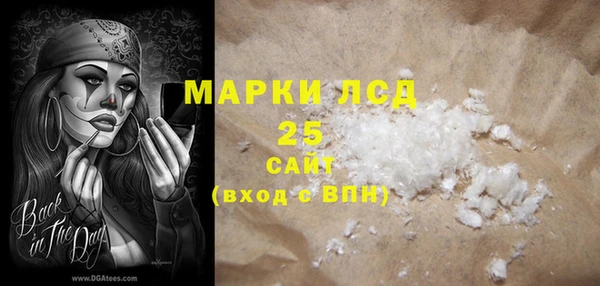 прущие грибы Покачи