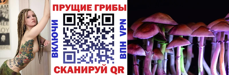 Галлюциногенные грибы Psilocybe Рыбное