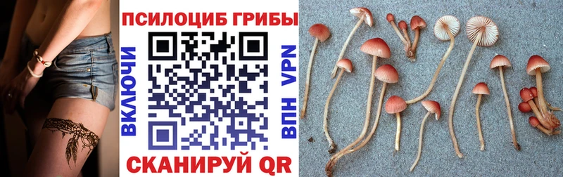 Псилоцибиновые грибы прущие грибы  наркотики  kraken зеркало  Рыбное 